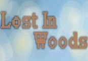 Lost in Woods 2 Steam CD Key (0.96$)
