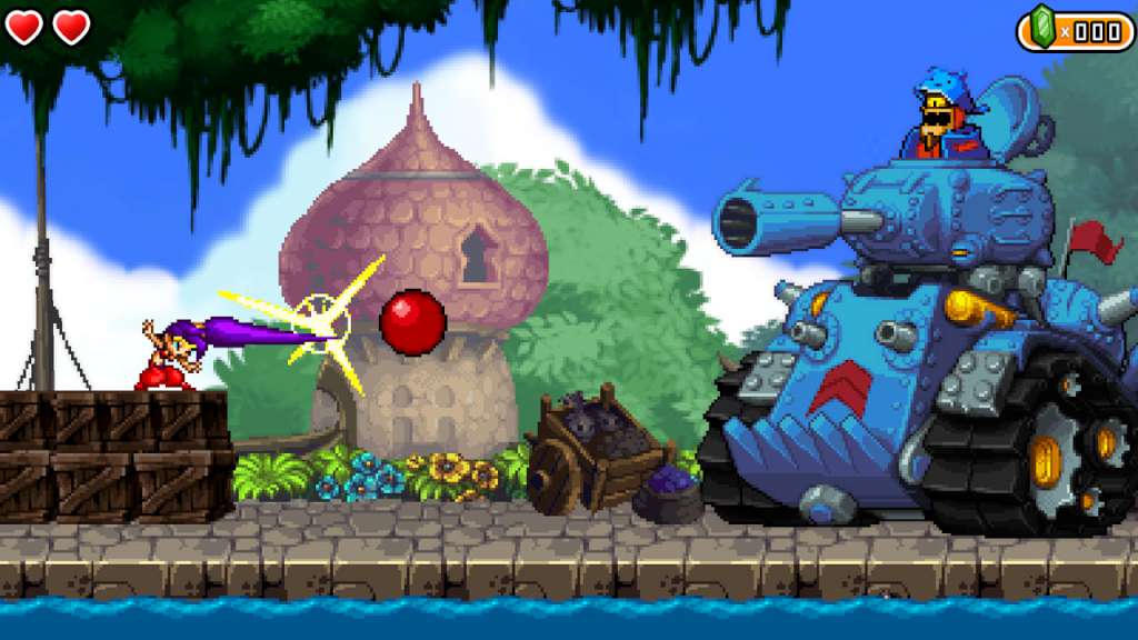 Shantae and the Pirate's Curse US Wii U CD Key (789.84$)