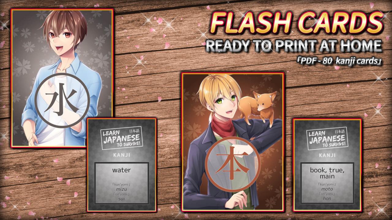 Learn Japanese To Survive! Kanji Combat - Flash Cards DLC Steam CD Key (0.95$)