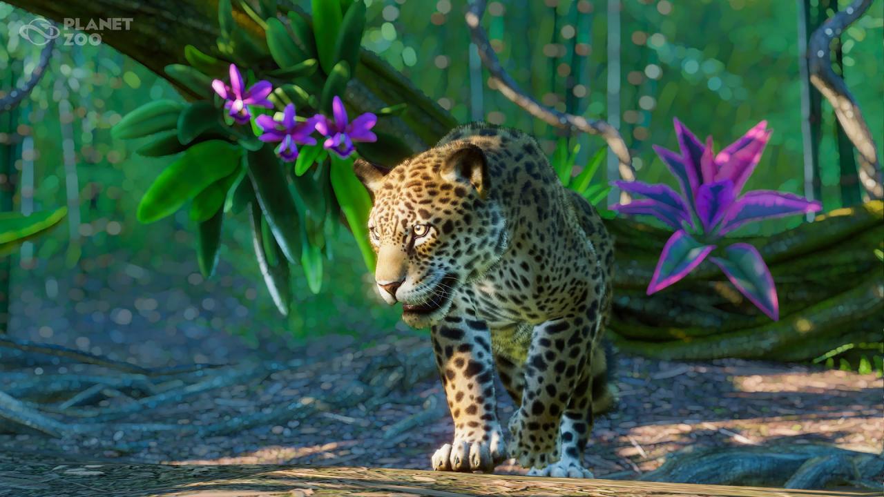 Planet Zoo - South America Pack DLC Steam Altergift (12.5$)