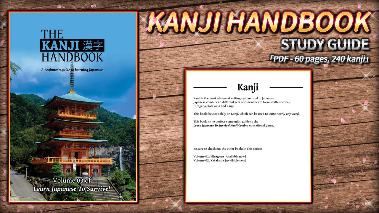 Learn Japanese To Survive! Kanji Combat - Study Guide DLC Steam CD Key (1.76$)