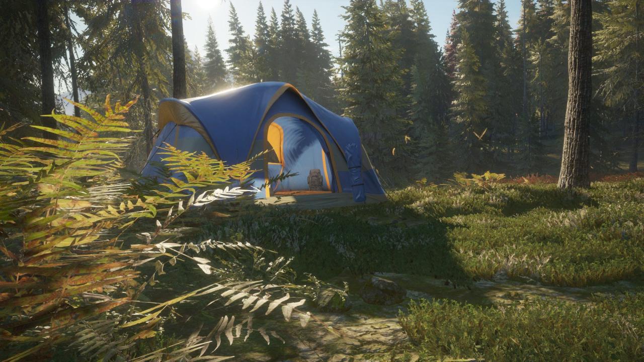 theHunter: Call of the Wild - Tents & Ground Blinds DLC Steam CD Key (1.6$)