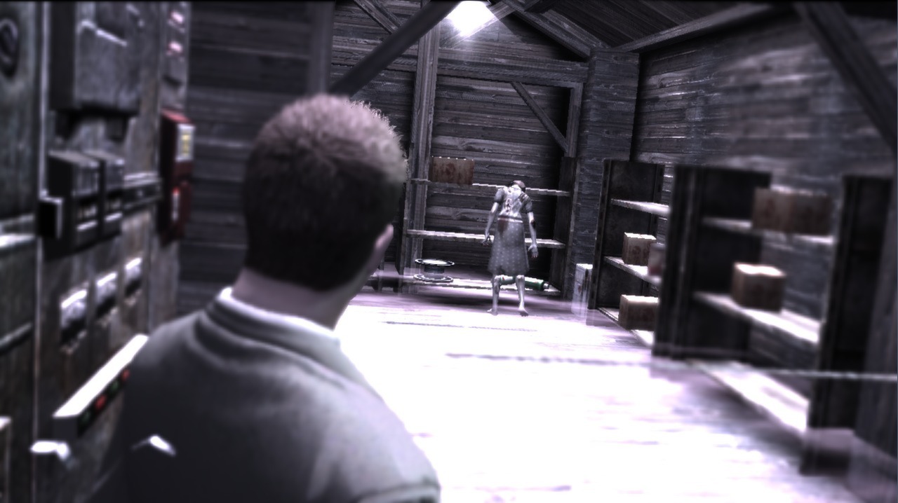 Deadly Premonition: The Director's Cut - Deluxe Edition Steam Gift (20.33$)