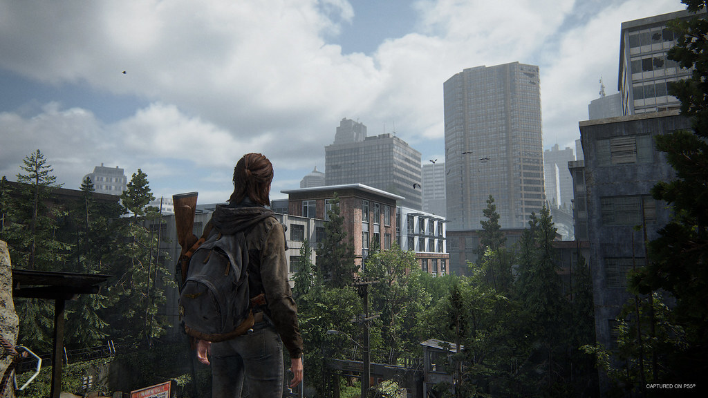 The Last Of Us Part 2 Remastered PlayStation 5 Account (47.99$)