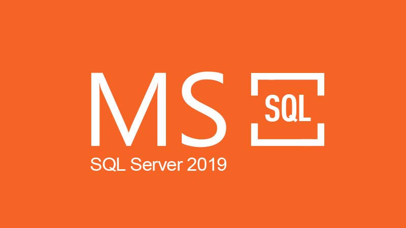 MS SQL Server 2019 CD Key (61.02$)