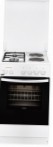 Zanussi ZCM 9540G1 W Estufa de la cocina \ características, Foto