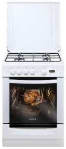 GEFEST 6100-03 Кухонная плита Фото, характеристики