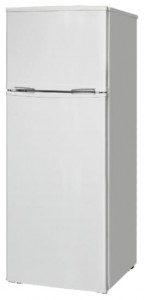 Delfa DTF-140 Refrigerator larawan, katangian