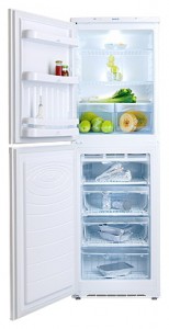 NORD 219-7-110 Tủ lạnh ảnh, đặc điểm