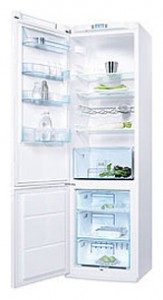 Electrolux ERB 40402 W Холодильник фото, Характеристики