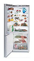 Gaggenau RB 272-250 Tủ lạnh ảnh, đặc điểm