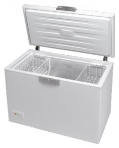 BEKO HSA 40550 Refrigerator larawan, katangian