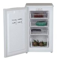 WEST FR-1001 Холодильник фото, Характеристики