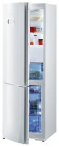 Gorenje RK 67325 W Холодильник Фото, характеристики