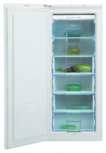 BEKO FSA 21300 冰箱 照片, 特点