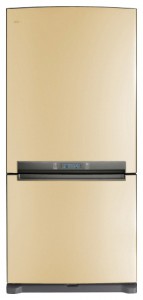 Samsung RL-62 ZBVB Refrigerator larawan, katangian