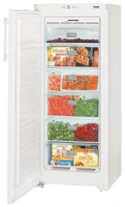 Liebherr GNP 2313 Refrigerator larawan, katangian