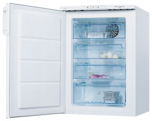 Electrolux EUF 10003 W ตู้เย็น รูปถ่าย, ลักษณะเฉพาะ