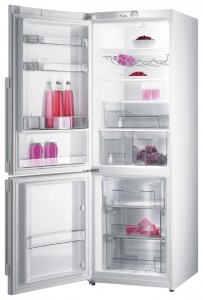 Gorenje RK 65 SYX Холодильник Фото, характеристики