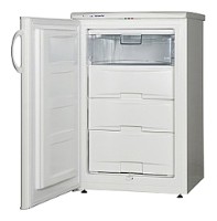 Snaige F100-1101A Refrigerator larawan, katangian