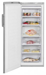 BEKO FS 225320 X Холодильник Фото, характеристики