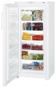 Liebherr GP 3013 Refrigerator larawan, katangian