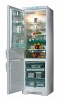 Electrolux ERB 4102 Refrigerator larawan, katangian