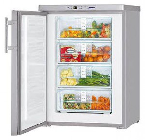 Liebherr GPesf 1466 Refrigerator larawan, katangian