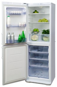 Бирюса 131 KLA Tủ lạnh ảnh, đặc điểm