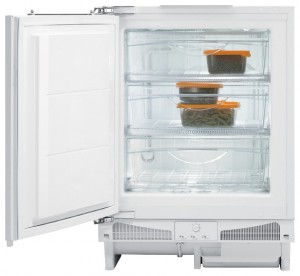 Gorenje FIU 6091 AW Refrigerator larawan, katangian