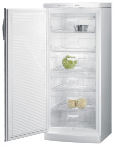 Gorenje F 6248 W Холодильник Фото, характеристики