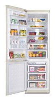 Samsung RL-52 VEBVB Refrigerator larawan, katangian