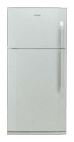 BEKO DN 150100 Refrigerator larawan, katangian