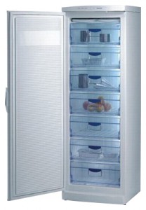 Gorenje F 6313 Холодильник Фото, характеристики