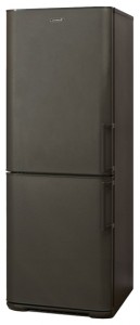 Бирюса W133 KLA Refrigerator larawan, katangian