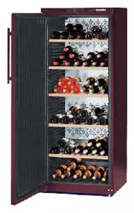Liebherr WT 4176 Refrigerator larawan, katangian