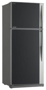 Toshiba GR-RG70UD-L (GU) 冰箱 照片, 特点