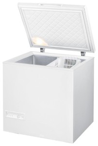 Gorenje FH 210 W Refrigerator larawan, katangian