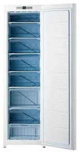 Kaiser G 16333 Refrigerator larawan, katangian