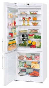 Liebherr CN 5013 Refrigerator larawan, katangian