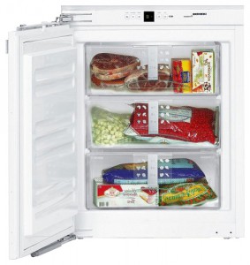 Liebherr IG 956 Tủ lạnh ảnh, đặc điểm