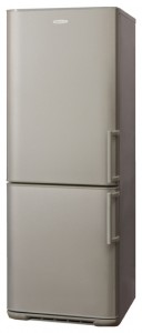 Бирюса M143 KLS Холодильник фото, Характеристики
