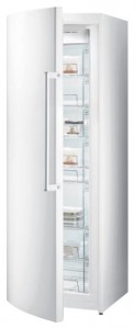 Gorenje FN 6181 OW Refrigerator larawan, katangian