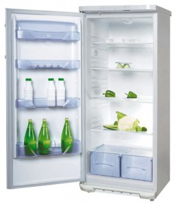 Бирюса 542 KL Refrigerator larawan, katangian