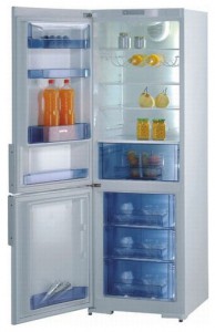 Gorenje RK 61341 W Холодильник Фото, характеристики
