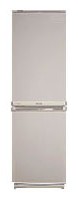 Samsung RL-17 MBMS Tủ lạnh ảnh, đặc điểm
