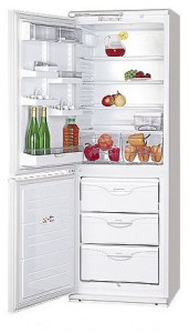 ATLANT МХМ 1809-03 Refrigerator larawan, katangian