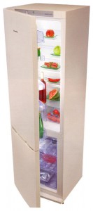 Snaige RF36SM-S11A10 Холодильник фото, Характеристики