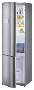 Gorenje RK 67365 E Refrigerator larawan, katangian