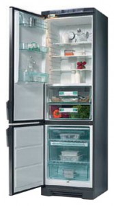 Electrolux QT 3120 W Refrigerator larawan, katangian